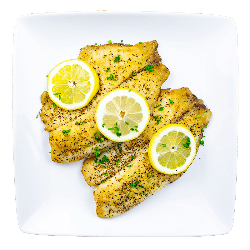 Tilapia